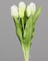 DPI Tulpen Bund cream 31 cm 87030-05 in 3 Blüten, 2 Knospen von DPI