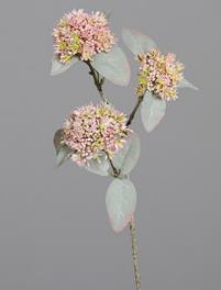 DPI Virburnum 62 cm 43705 in mit 3 Blütenköpfen DPI Virburnum 62 cm 43705 in mit 3 Blütenköpfen von DPI