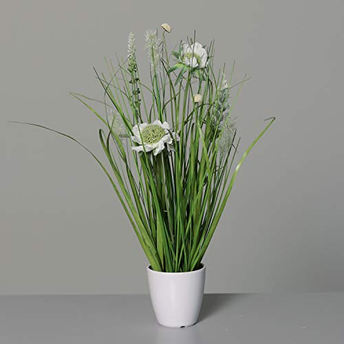 DPI Wiesenblumen mit Gras im Topf 34cm Weiß von DPI