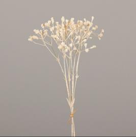 DPI Wiesenkopf Bund 2x 44002-05 in 46cm Fb. cream von DPI