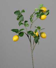 DPI Zitronenzweig 84 cm 55403 in mit 5 Früchten DPI Zitronenzweig 84 cm 55403 in mit 5 Früchten von DPI
