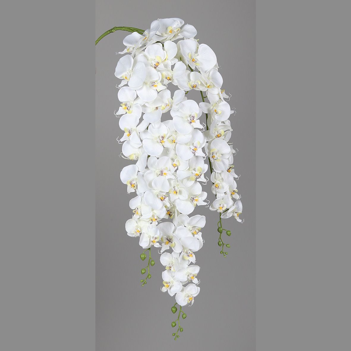DPI künstliche Orchidee Phalaenopsis Hänger creme 115 cm von DPI