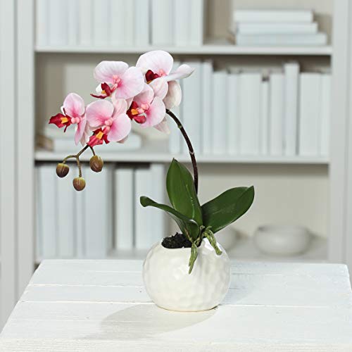 DPI künstliche Orchidee Phalaenopsis pink-Creme in weißen Keramiktopf Höhe ca. 33 cm von DPI