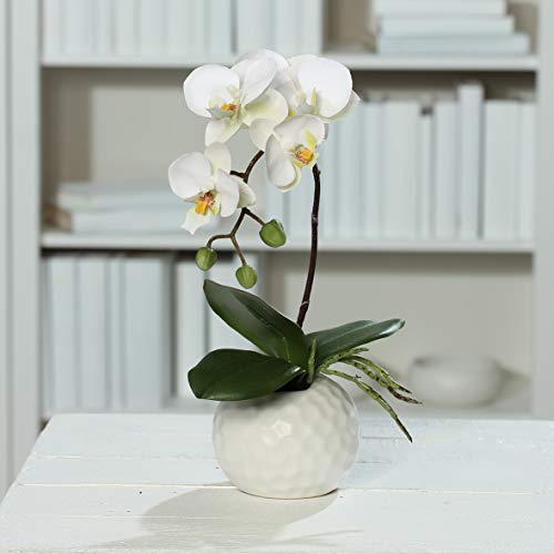 DPI künstliche Orchidee Phalaenopsis weiß in weißen Keramiktopf Höhe ca. 33 cm von DPI