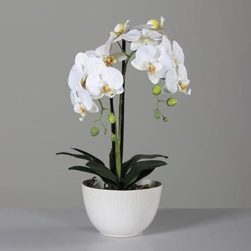 DPI künstliche Orchidee REAL Touch weiß in Keramiktopf H. 48cm Kunstblumen von DPI