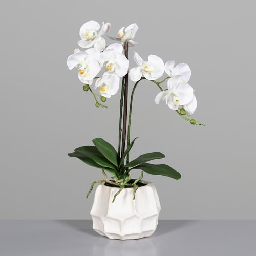 DPI künstliche Orchidee weiß H. 50cm in cremefarbenen Keramiktopf Kunstblumen von DPI