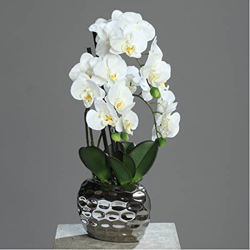 DPI künstliche Orchidee REAL Touch weiß in silbernem Keramiktopf H. 50cm B. 20cm von DPI
