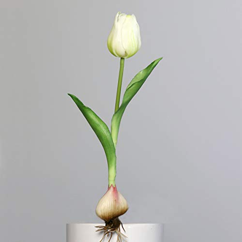 DPI künstliche Tulpe mit Zwiebel weiß grün H. 25cm DPI künstliche Tulpe mit Zwiebel weiß grün H. 25cm von DPI