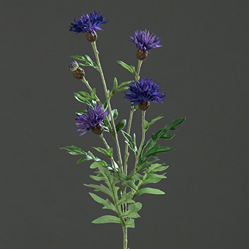 Flockenblume Centaurea blau 62 cm Kunstblume von DPI von DPI
