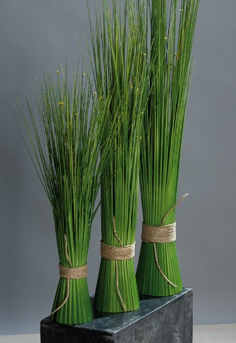 Isolepsis Kunstgras Gras Kunstpflanze Grasbüschel grün 90 cm Isolepsis Kunstgras Gras Kunstpflanze Grasbüschel grün 90 cm von DPI