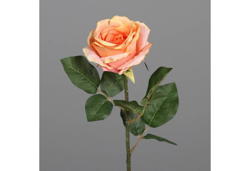 Kunstblume Orange, Durchmesser 10 cm, DPI, Höhe 48 cm, Farbe: Orange, Motiv: Rose von DPI