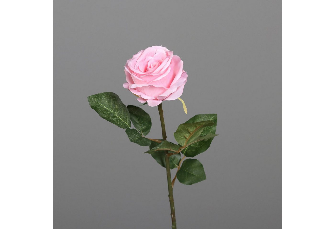 Kunstblume, DPI, Höhe 48 cm, Rosa H:48cm D:10cm Kunststoff von DPI