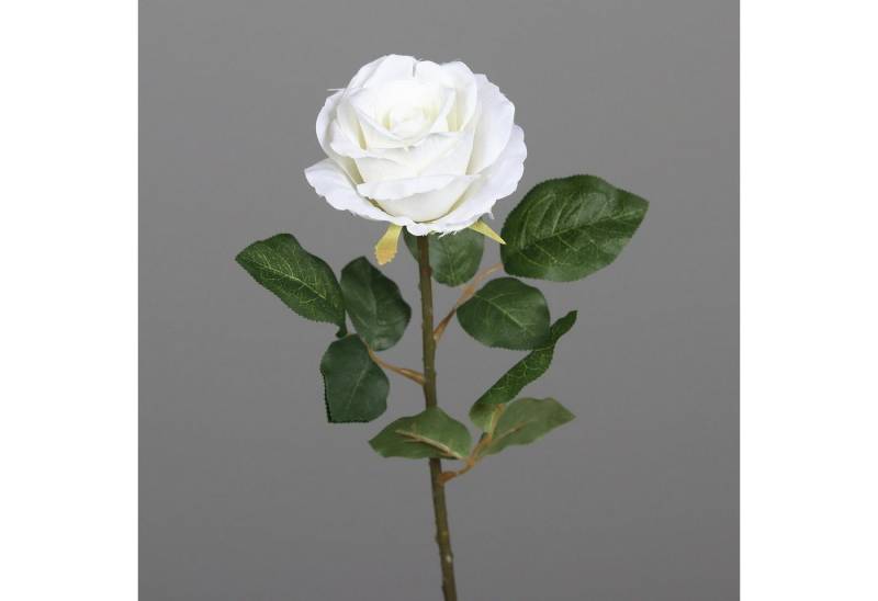 Kunstblume Weiß, Durchmesser 10 cm, DPI, Höhe 48 cm, Farbe: Weiß, Motiv: Rose von DPI