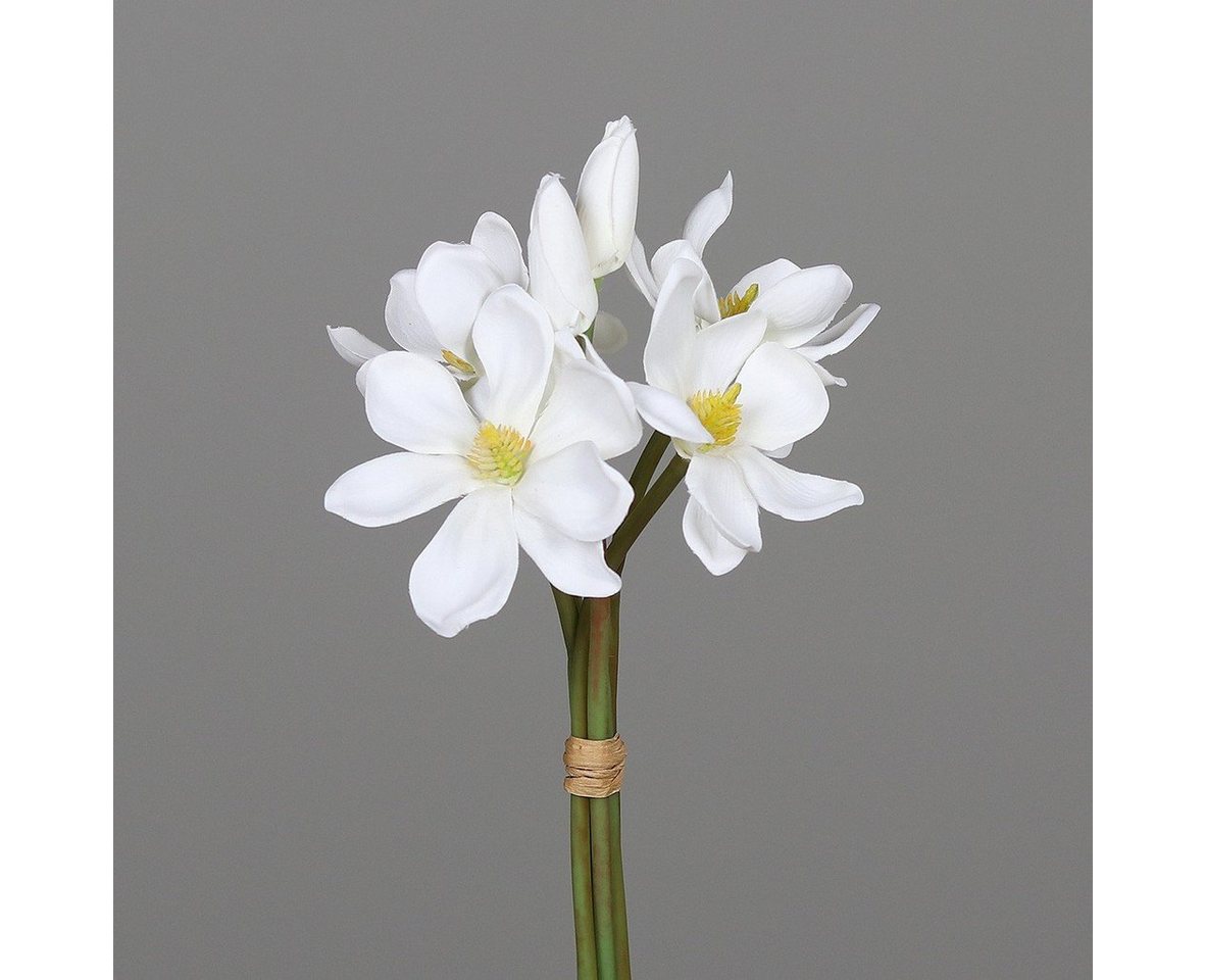Kunstpflanze, DPI, Höhe 28 cm, Weiß B:14.5cm H:28cm Kunststoff von DPI