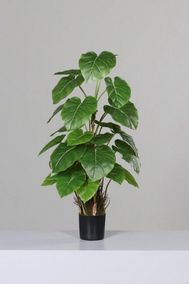 Kunstpflanze, DPI, Höhe 80 cm, Grün B:35cm H:80cm D:12cm Kunststoff von DPI