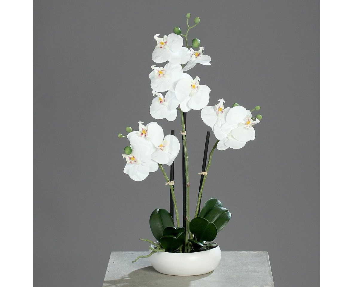 Kunstorchidee, DPI, Höhe 36 cm, Weiß H:36cm Kunststoff von DPI