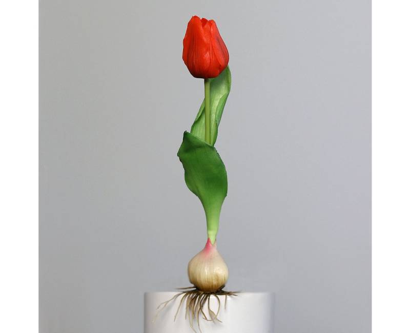 Kunstblume, DPI, Höhe 25 cm, Farbe: Rosa, Motiv: Tulpe von DPI