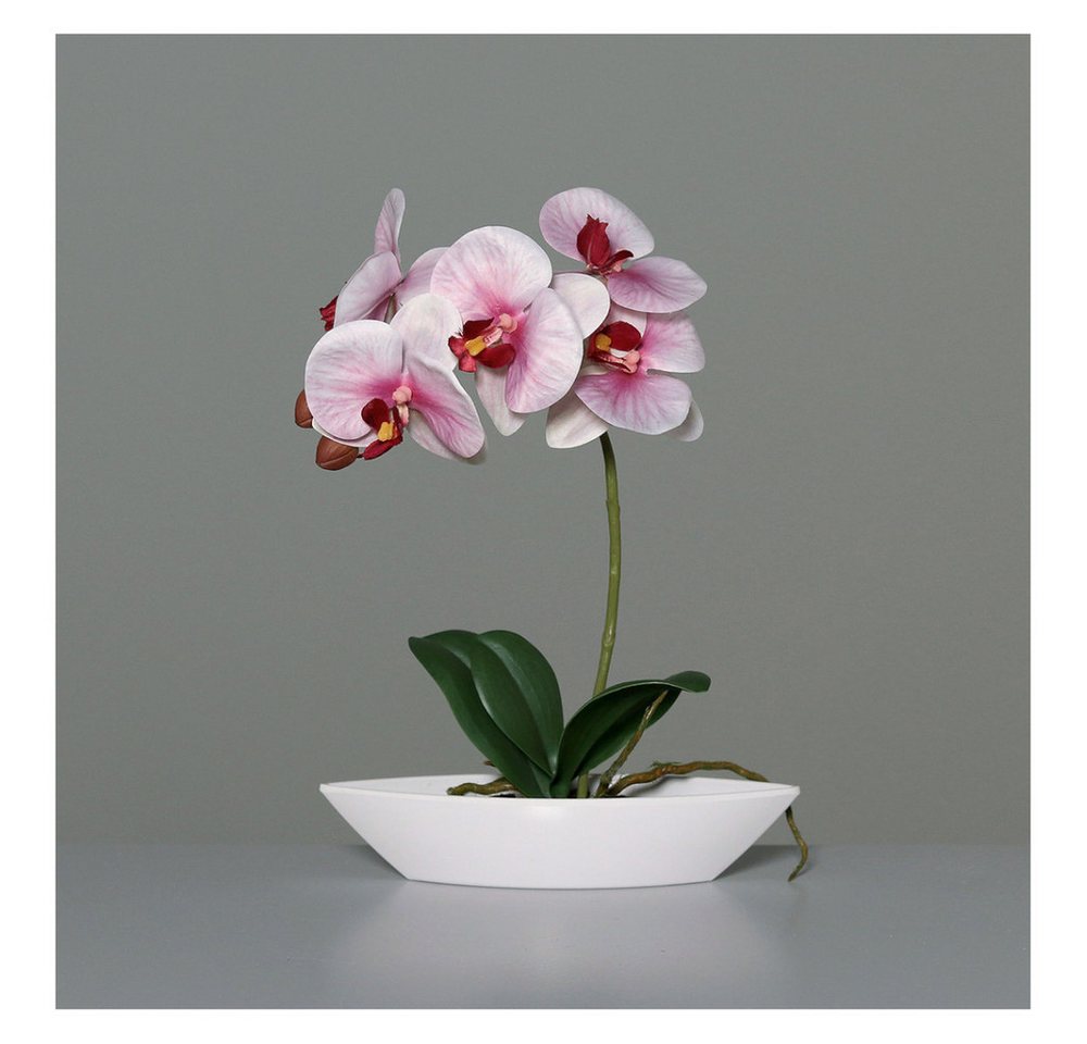 Kunstblume Orchidee in Schale - ca. 32 cm - rosa, DPI Kunstblume Orchidee in Schale - ca. 32 cm - rosa, DPI von DPI