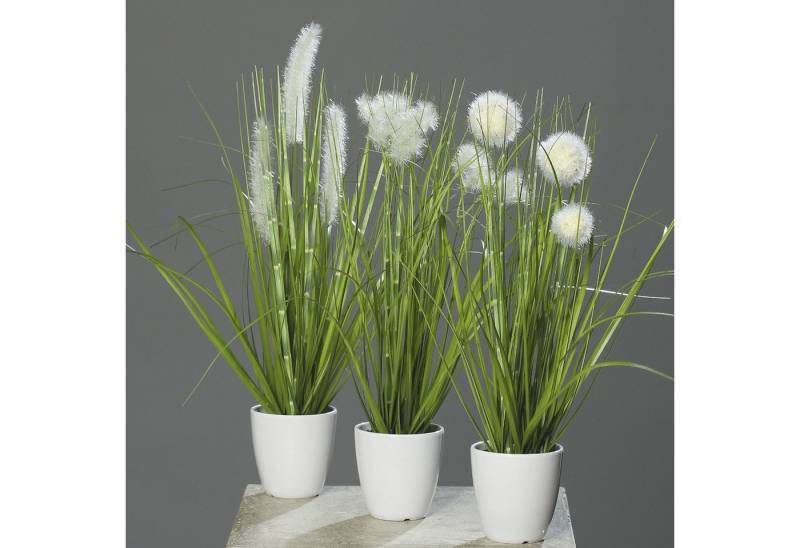 Kunstblume Topfpflanzen, DPI, Höhe 36 cm, im Topf, Grün, Motiv: Gras von DPI