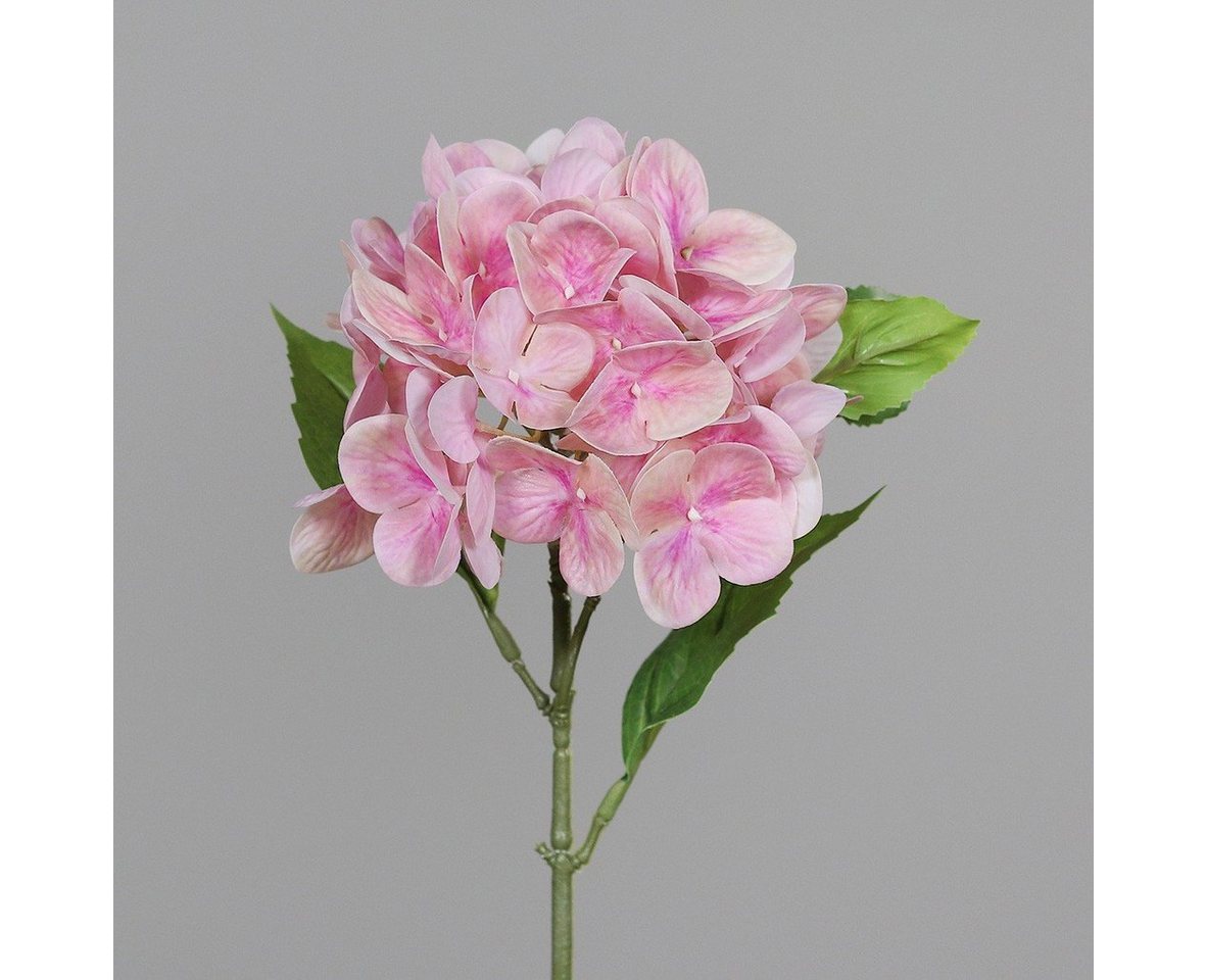 Kunstpflanze, DPI, Höhe 31 cm, Rosa B:14cm H:31cm D:14cm Kunststoff von DPI