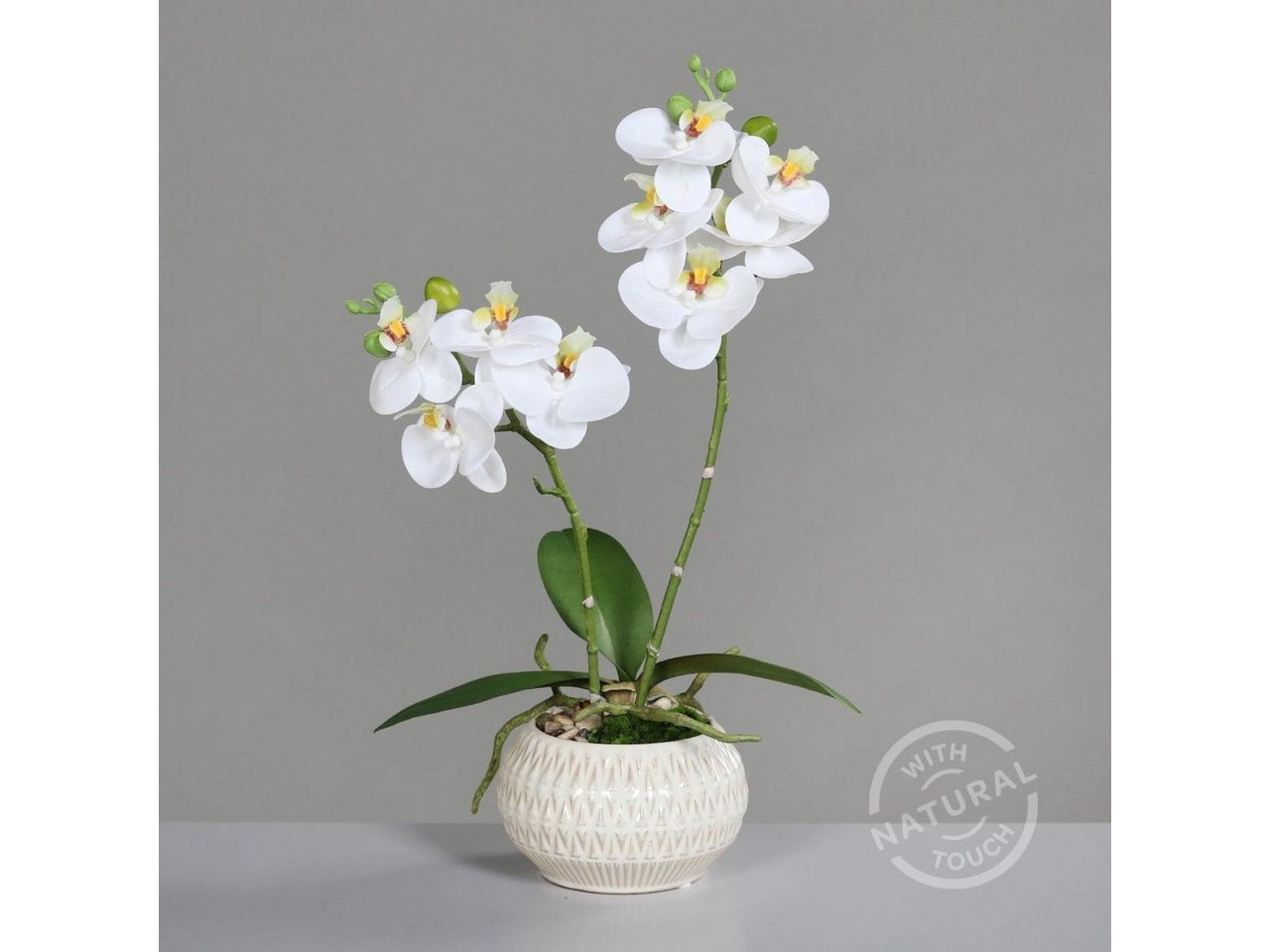 Kunstpflanze, DPI, Höhe 36 cm, Weiß H:36cm D:12cm Kunststoff von DPI