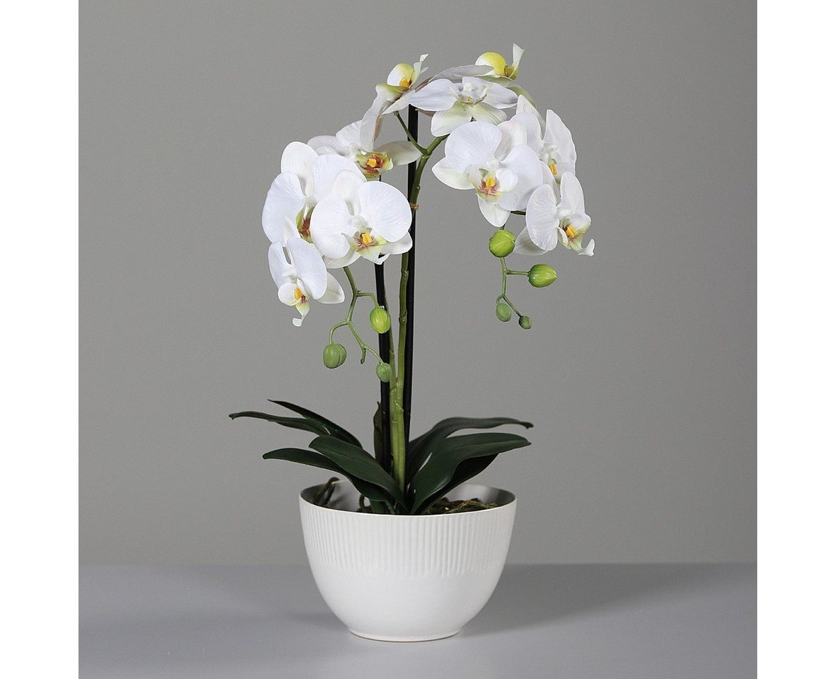 Kunstpflanze, DPI, Höhe 48 cm, Weiß H:48cm D:17.5cm Kunststoff von DPI