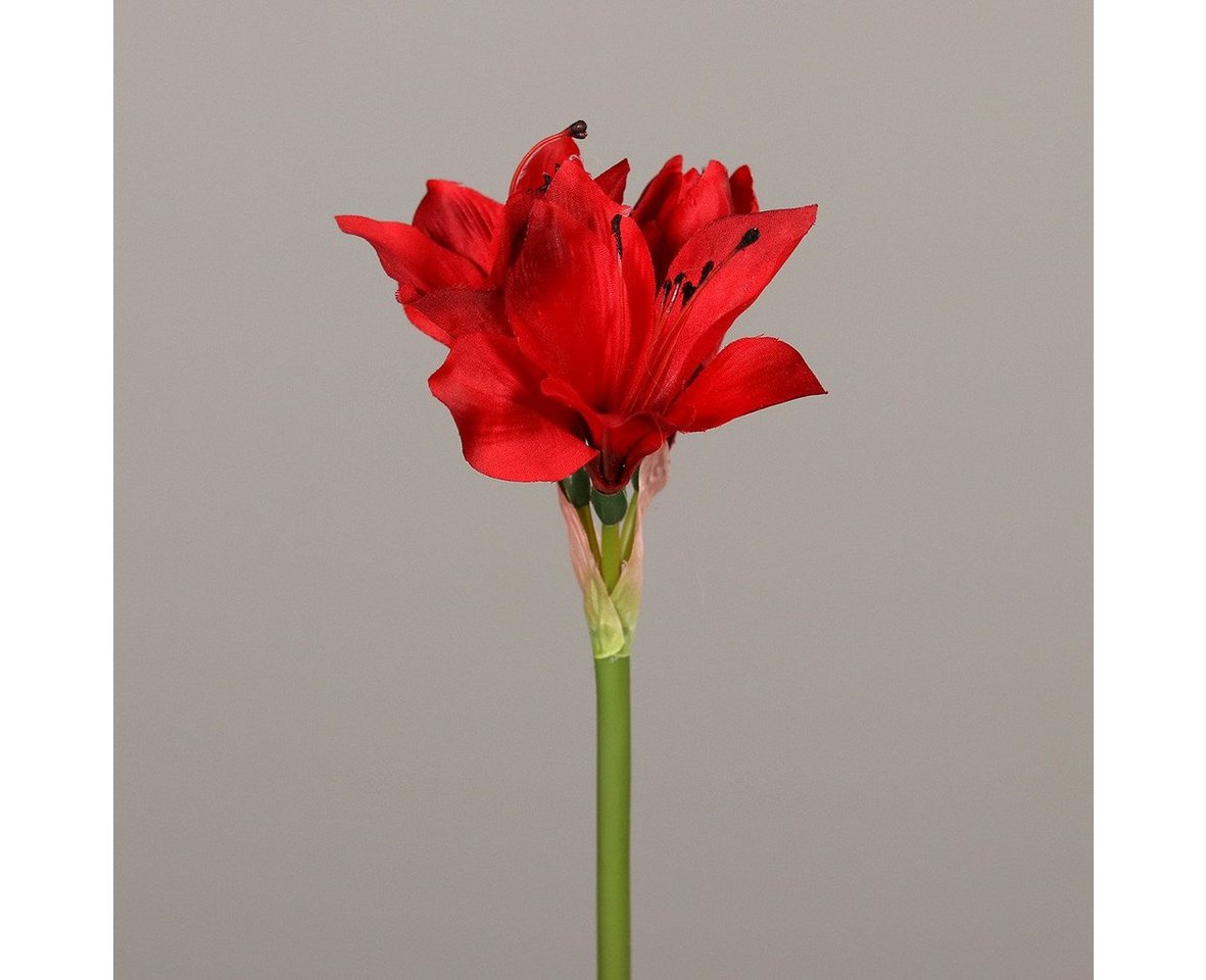 Kunstpflanze DPI Amaryllis rot 51 cm, DPI von DPI
