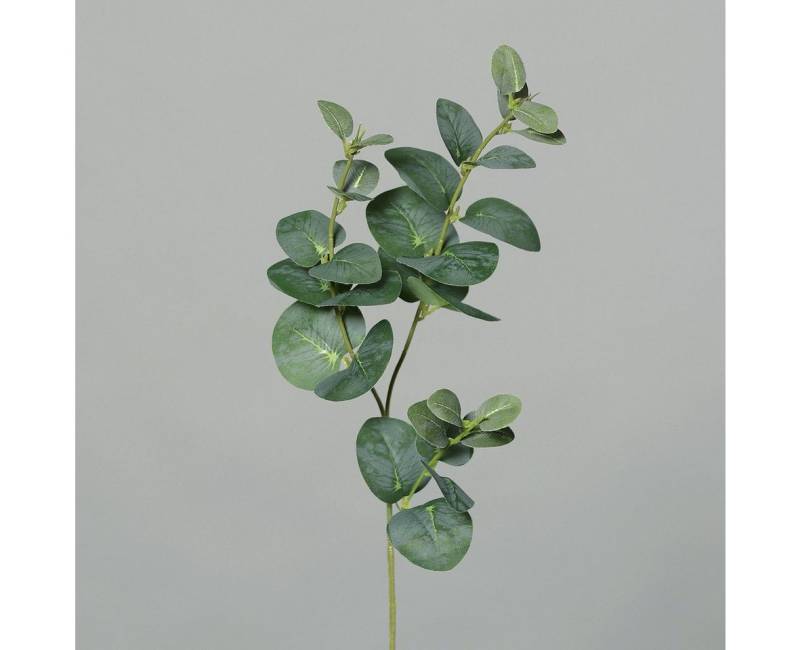 Kunstpflanze DPI Eukalyptuszweig x3 grün 64 cm, DPI von DPI