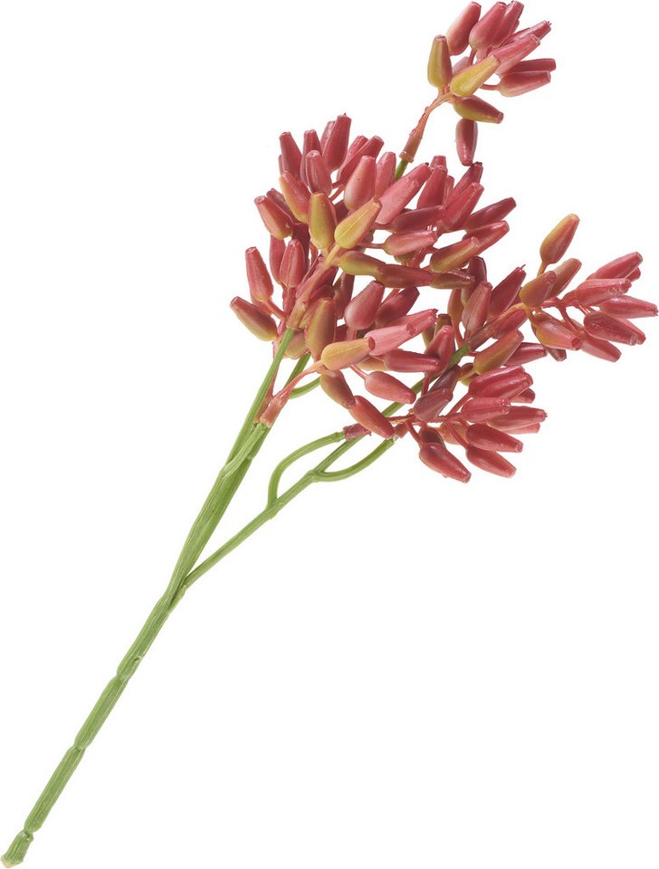 Kunstblume Sukkulenten Zweig, DPI, L 25 cm von DPI