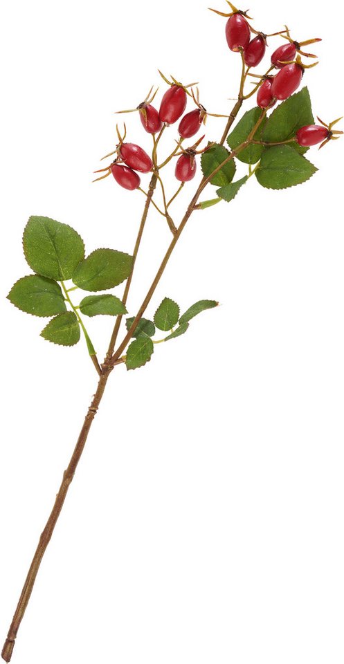 Kunstzweig Hagebuttenzweig, DPI, 41cm Kunstzweig Hagebuttenzweig, DPI, 41cm von DPI