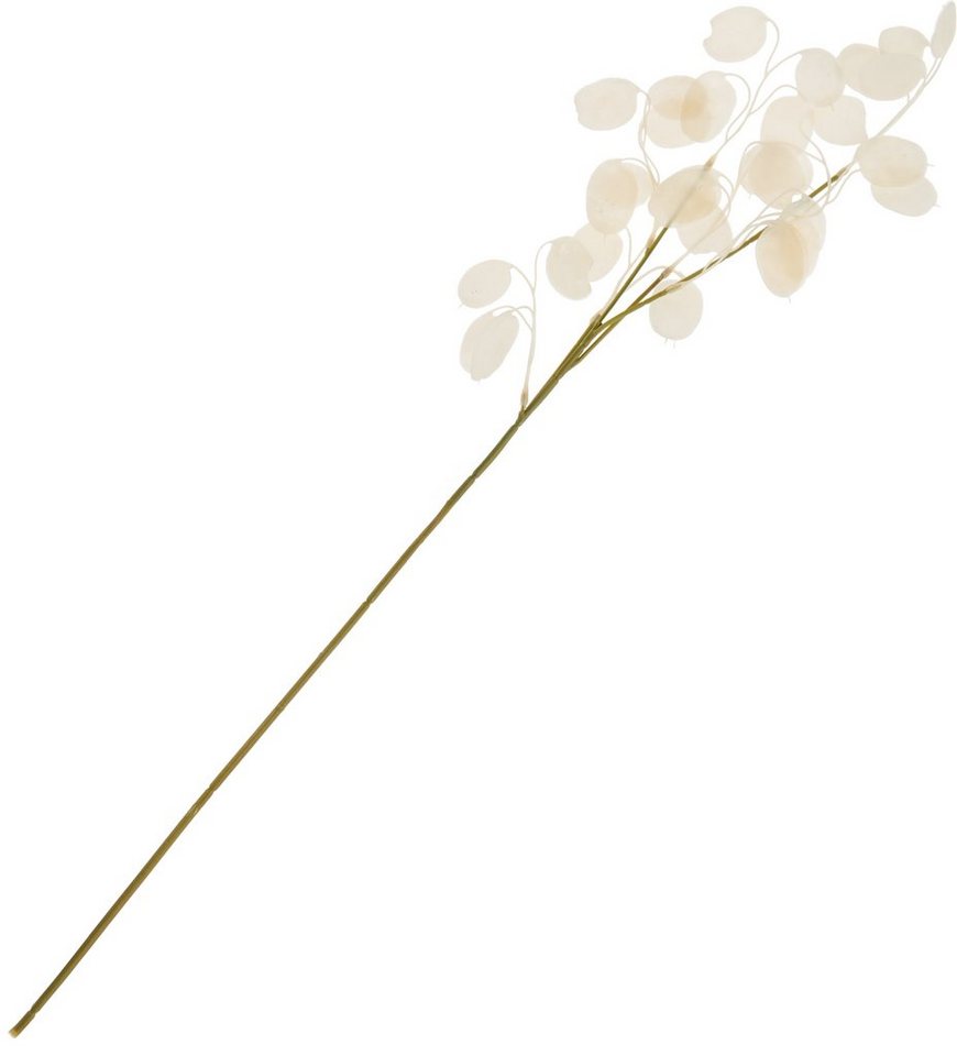 Kunstzweig Lunaria Zweig, DPI, 71 cm von DPI