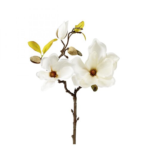 MAGNOLIEN-PICK 50CM CREAM 42493-05 von DPI