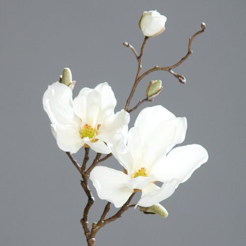 Magnolienzweig Zweig Magnolie Kunstblume creme 50 cm von DPI