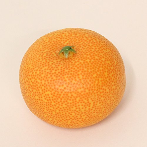 Mandarine Kunstobst Obst Dekoobst Deko künstliches Obst 7 cm von DPI