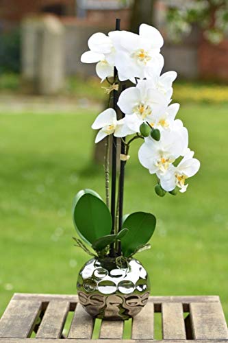 Orchidee Kunstpflanze Phalaenopsis creme Höhe 48cm Keramiktopf silber 13cm von DPI