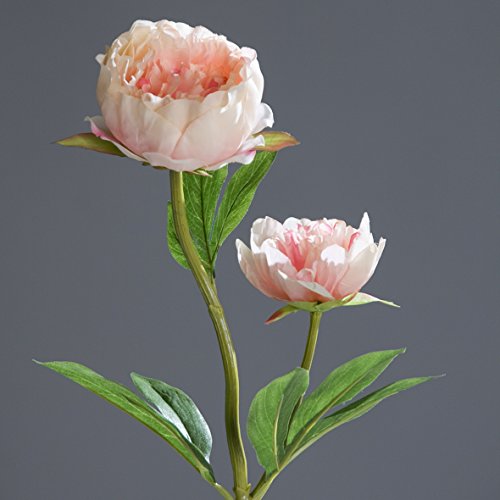 Pfingstrose Kunstblume hellrosa-pink 60cm lang Deko von DPI