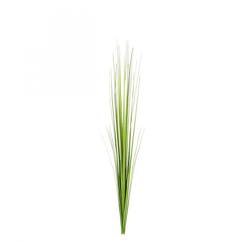 ROLLER Isolepsis-Gras - Kunstpflanze - grün von DPI