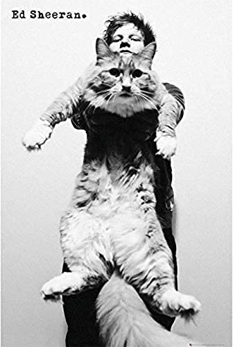 Ed Sheeran Ed Sheeran-Katze Filmplakat Wandkunst Dekoration Malerei Gedruckt Leinwand Poster 40X60Cm Ohne Rahmen von DPKHDS