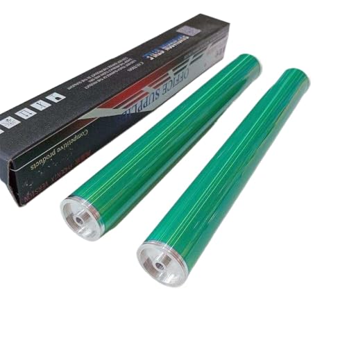 Kompatible OPC -Drum -Zubehör Kompatibel mit WorkCentre 6015 Phaser 6000 6010 Drucker kompatibel mit C1700 C1750 CX17 Bild Drum Long Life 2pcs von DPLBAZHC
