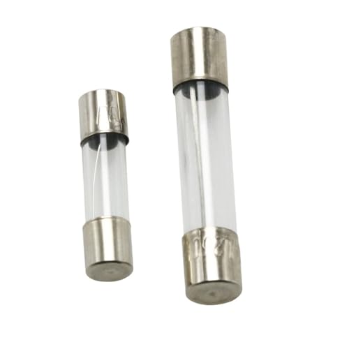 10Pcs/100Pcs 5 * 20mm 6 * 30mm Fast Blow Glass Tube Fuses 5x20 6x30 250V 0.1 0.5 1 2 3 3.15 4 5 6 7 8 10 12 15 20 25 30A AMP Fuse(0.1A) von DPRPQXCXY