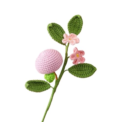 DPSQQ Häkelblumen, gestrickte Blumen, Häkelblumen, künstliche Handgestrickte Obstblumen, Blumenstrauß, DIY, handgefertigte Kunstblumen, Hochzeitsfeier, Heimdekoration, gestrickte Blumen (A)(B) von DPSQQ