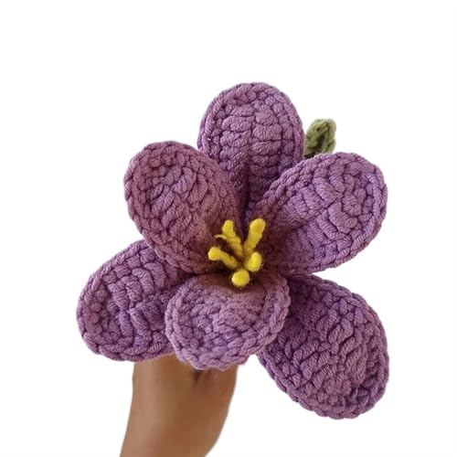 DPSQQ Häkelblumen, gestrickte Blumen, künstlicher Tulpenstrauß, handgefertigte Wolle, gestrickte Blumen, Häkelblumen, Pflanzen, Hausgarten, dekoratives Ornament, gestrickte Blumen (H)(E) von DPSQQ