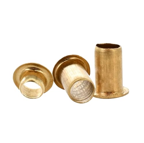 Hohlnieten, M0,9 M1,5 M2 M2,5 M3 M4 M5 M6 Messing-Hohlniet-Einsatzmutter Kupferplatine PCB-Nägel Rohrnietmutter(M2,5 x 5 mm (100 Stück))(M4x3mm(50pcs)) von DPSQQ