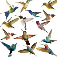 12 Stück Kolibri-Fensteraufkleber, Kollisionsschutz, damit Vögel Glas vermeiden können 12 Stück Kolibri-Fensteraufkleber, Kollisionsschutz, damit Vögel Glas vermeiden können von DPZO