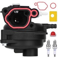 Vergaser + Luftfilter für 300E, 450E, 500E, 550EX Motoren, 08P502, 8P502, 09P602, 9P602 Serie Rasenmäher 799583, 591160, 595656, 591979, 593261 von DPZO