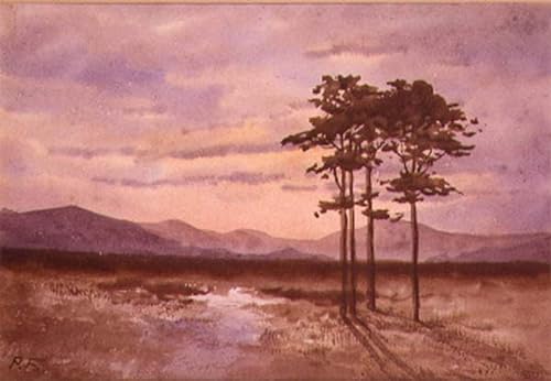 DQCJIYIGL Bekannt Leinwand Drucken Poster Bilder Leinwand Sunset County Sligo von William Percy French Wand Bilder Dekoration für Office Home Decor 60x90cm von DQCJIYIGL