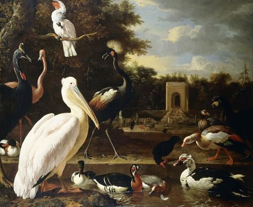 DQCJIYIGL Bekannt Leinwand Drucken Poster Bilder Leinwand Viele verschiedene Vogelarten an einem Teich in einem Park von Melchior De Hondecoeter Wand Bilder Dekoration für Office Home Decor 60x90cm von DQCJIYIGL