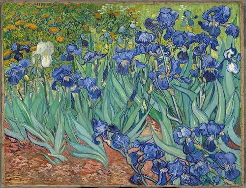 DQCJIYIGL Bekannt Poster Wandbilder Dekoration Wandbild Iris Von Vincent Van Gogh Leinwand Drucke für Wanddekoration 60x90cm von DQCJIYIGL
