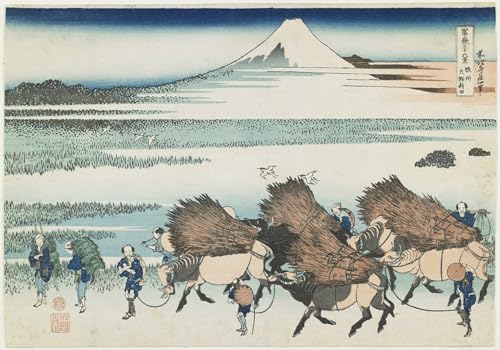DQCJIYIGL Berühmte Gemälde HD Leinwanddruck Graffti Kunst Poster Die reisfelder von o_no in der provinz Suruga von katsushika Hokusai Kunst Porträt für Schlafzimmer Home Decor 60x90cm von DQCJIYIGL