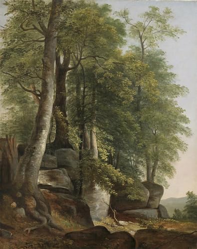 DQCJIYIGL Berühmte Gemälde HD Leinwanddruck Graffti Kunst Poster Landschaft Mit Felsen Und Bäumen Von Asher Brown Durand Kunst Porträt für Schlafzimmer Home Decor 60x90cm von DQCJIYIGL